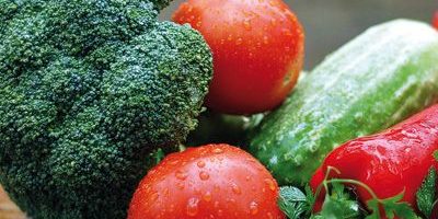Proteina-vegetal